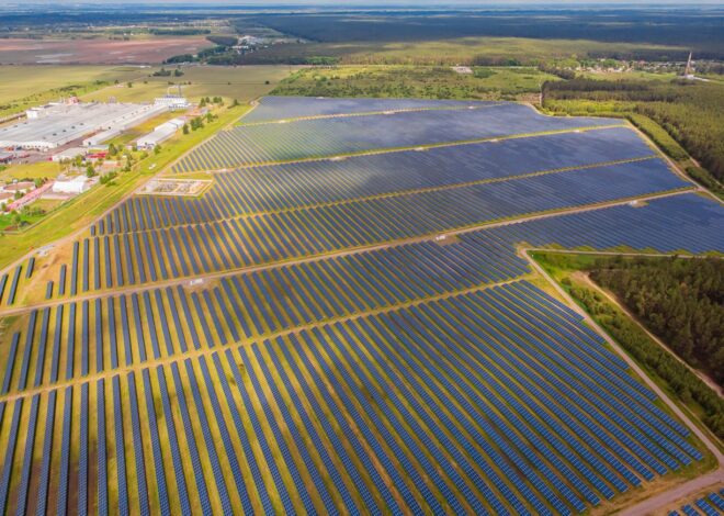 “Avrupa bir güneş enerjisi devi oluyor”: Güneş enerjisi AB’de elektrik üretiminde zirvede, kömür tarihi dipte