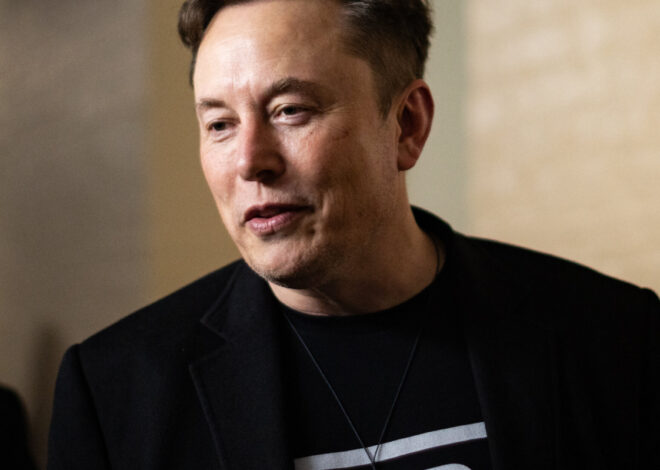 Tesla Reveals Cheaper Versions of Model Y and Model 3